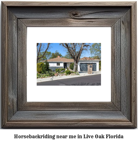 horseback riding near me in Live Oak, Florida